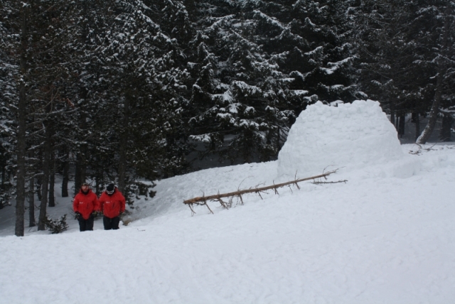  in the snow 